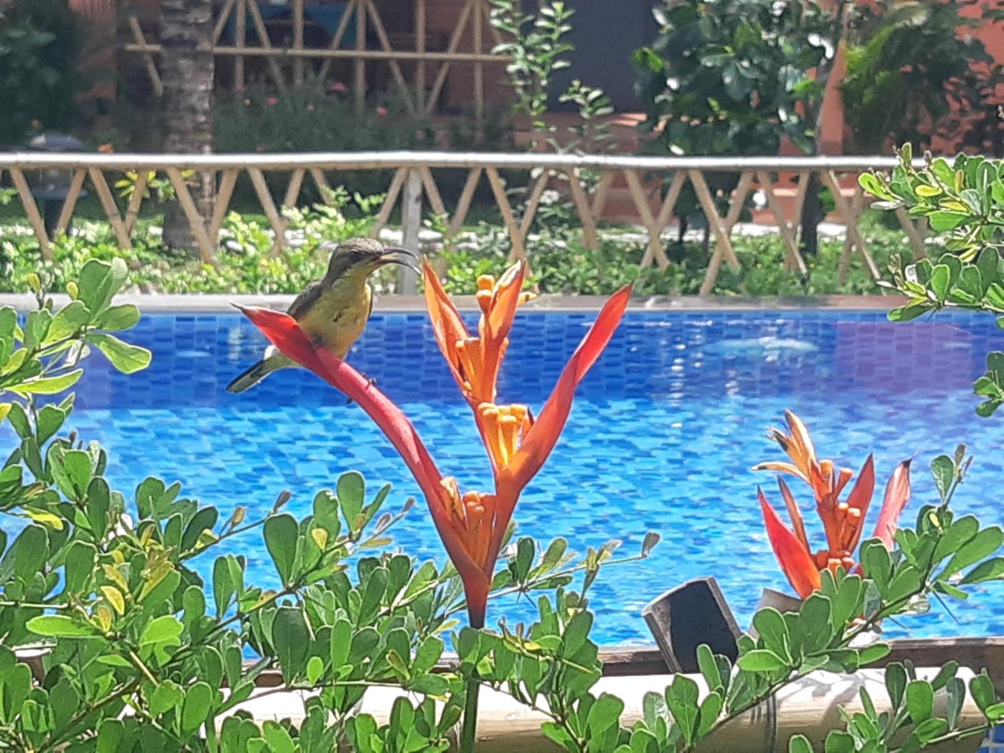 Anan Boutique Bungalows With Private Kitchen ฟู้โกว๊ก ภายนอก รูปภาพ