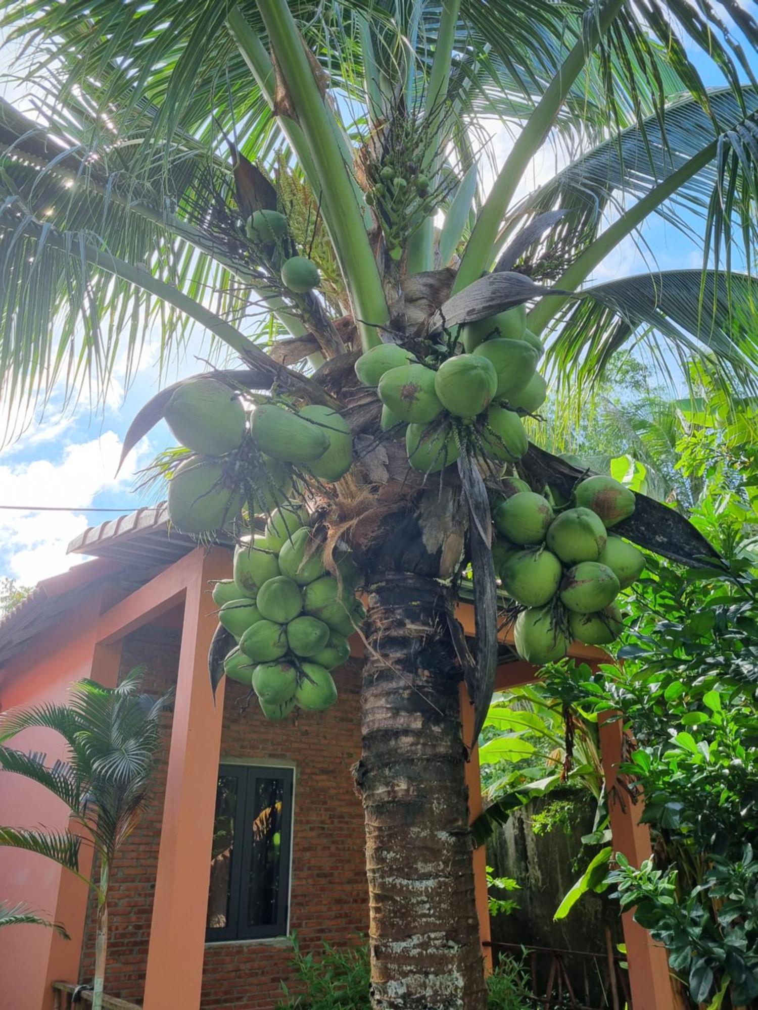 Anan Boutique Bungalows With Private Kitchen ฟู้โกว๊ก ภายนอก รูปภาพ