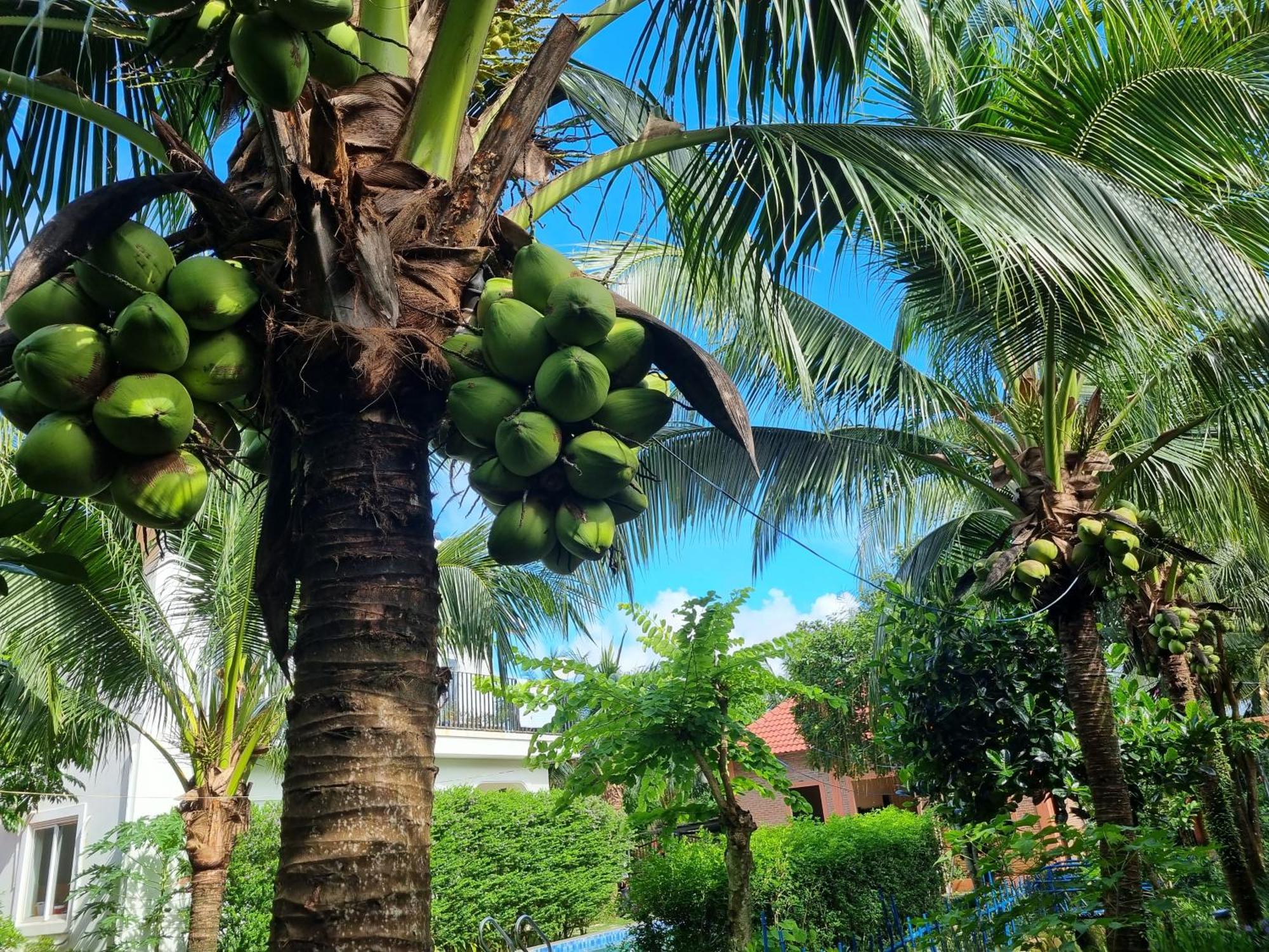 Anan Boutique Bungalows With Private Kitchen ฟู้โกว๊ก ภายนอก รูปภาพ
